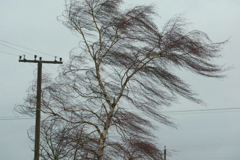 Сильнейший ветер в ближайшие дни захлестнет Красноармейский район.