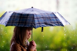 Как правильно сушить зонт – основные правила и хитрости.