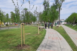 В парке станицы Полтавской высадили новые деревья