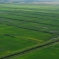В Красноармейском районе построят новые рисовые чеки. 1