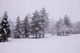 В Красноармейском районе выпал обильный снег.