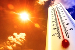 Жителей и гостей Краснодарского края ждет 40-градусная жара.