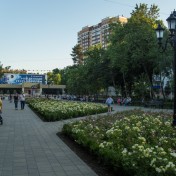 Площадь перед кинотеатром «Болгария» г. Краснодар