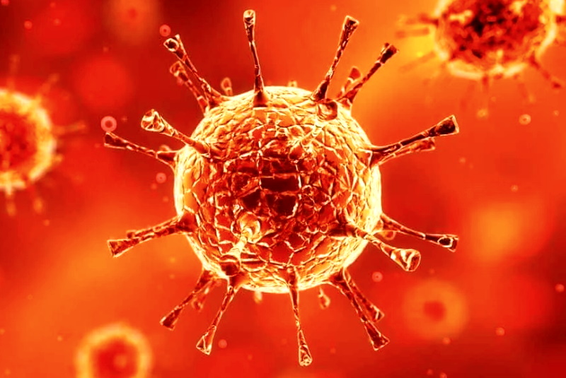 Какие симптомы коронавируса у человека?