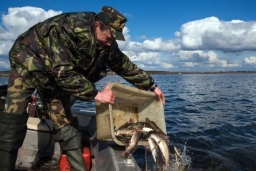 Штрафы за рыбалку во время карантина Краснодарский край