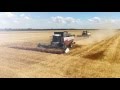 Уборка пшеницы в Краснодарском крае.